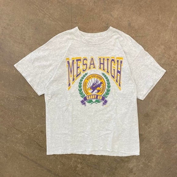 Fruit of the Loom Other - Vintage 90s Mesa High School Jackrabbits Physical Education Arizona Shirt Size L
